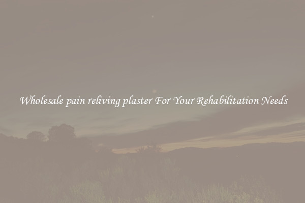 Wholesale pain reliving plaster For Your Rehabilitation Needs