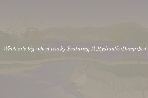 Wholesale big wheel trucks Featuring A Hydraulic Dump Bed