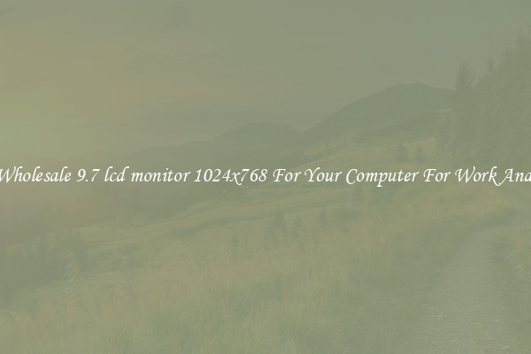 Crisp Wholesale 9.7 lcd monitor 1024x768 For Your Computer For Work And Home
