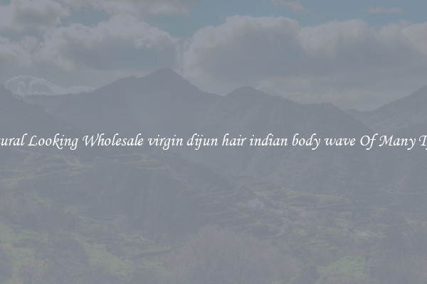 Natural Looking Wholesale virgin dijun hair indian body wave Of Many Types
