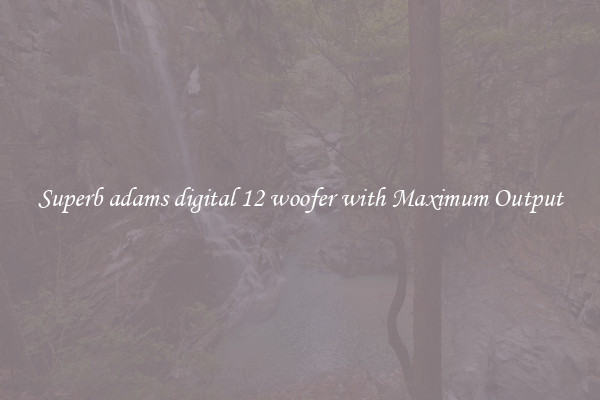 Superb adams digital 12 woofer with Maximum Output