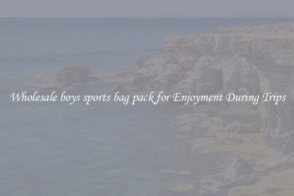 Wholesale boys sports bag pack for Enjoyment During Trips