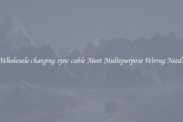 Wholesale charging sync cable Meet Multipurpose Wiring Needs