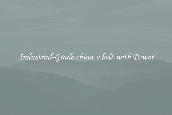 Industrial-Grade china v belt with Power