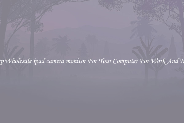 Crisp Wholesale ipad camera monitor For Your Computer For Work And Home