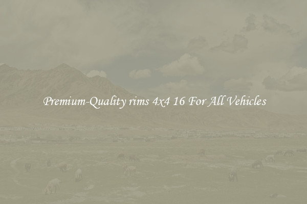 Premium-Quality rims 4x4 16 For All Vehicles