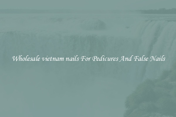 Wholesale vietnam nails For Pedicures And False Nails