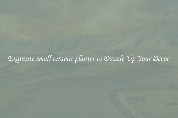 Exquisite small ceramic planter to Dazzle Up Your Décor 