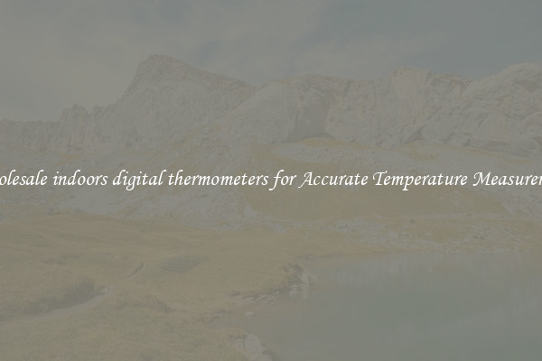 Wholesale indoors digital thermometers for Accurate Temperature Measurement