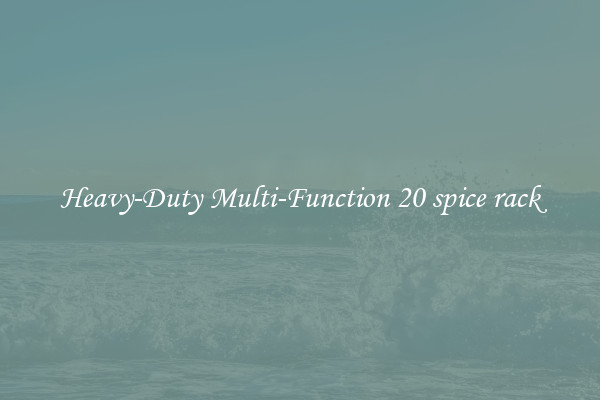 Heavy-Duty Multi-Function 20 spice rack
