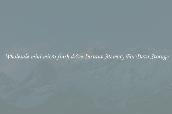 Wholesale mini micro flash drive Instant Memory For Data Storage