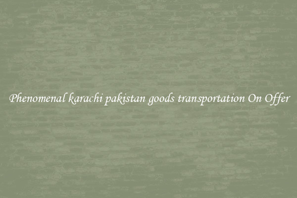 Phenomenal karachi pakistan goods transportation On Offer