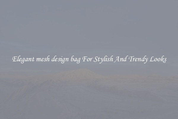 Elegant mesh design bag For Stylish And Trendy Looks